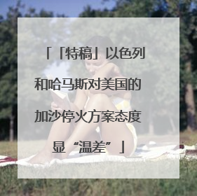 「特稿」以色列和哈马斯对美国的加沙停火方案态度显“温差”
