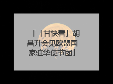 「甘快看」胡昌升会见欧盟国家驻华使节团