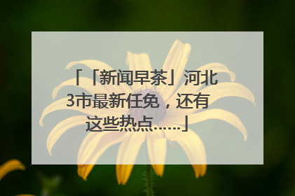 「新闻早茶」河北3市最新任免，还有这些热点……