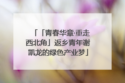 「青春华章·重走西北角」返乡青年谢凯龙的绿色产业梦