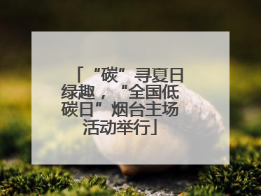 “碳”寻夏日绿趣，“全国低碳日”烟台主场活动举行