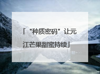 “种质密码”让元江芒果甜蜜持续