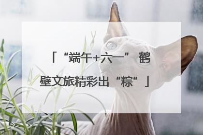 “端午+六一” 鹤壁文旅精彩出“粽”