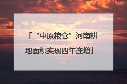 “中原粮仓”河南耕地面积实现四年连增