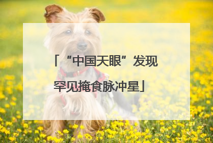 “中国天眼”发现罕见掩食脉冲星