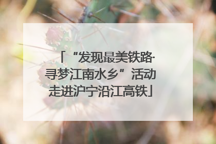 “发现最美铁路·寻梦江南水乡”活动走进沪宁沿江高铁