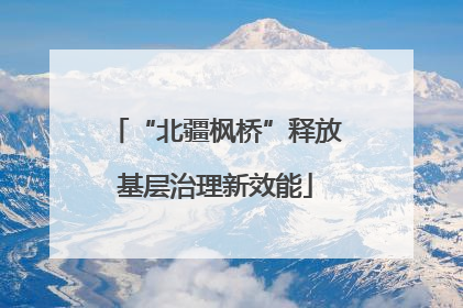“北疆枫桥”释放基层治理新效能