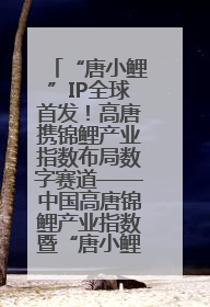 “唐小鲤”IP全球首发！高唐携锦鲤产业指数布局数字赛道——中国高唐锦鲤产业指数暨“唐小鲤”IP全球首发仪式在杭州举行