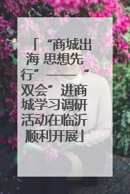 “商城出海 思想先行”——“双会”进商城学习调研活动在临沂顺利开展
