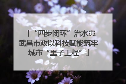 “四步闭环”治水患 武昌市政以科技赋能筑牢城市“里子工程”