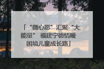 “微心愿”汇聚“大能量” 福建宁德情暖困境儿童成长路