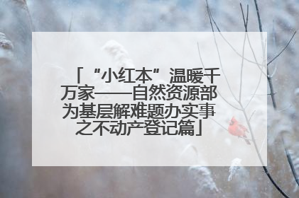 “小红本”温暖千万家——自然资源部为基层解难题办实事之不动产登记篇