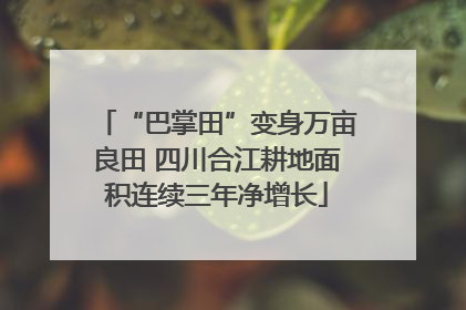 “巴掌田”变身万亩良田 四川合江耕地面积连续三年净增长