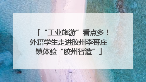 “工业旅游”看点多！外籍学生走进胶州李哥庄镇体验“胶州智造”