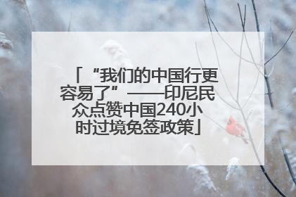 “我们的中国行更容易了”——印尼民众点赞中国240小时过境免签政策