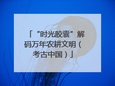 “时光胶囊”解码万年农耕文明（考古中国）
