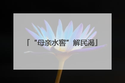 “母亲水窖”解民渴