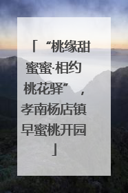 “桃缘甜蜜蜜·相约桃花驿”，孝南杨店镇早蜜桃开园