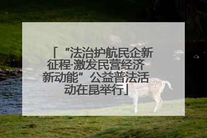“法治护航民企新征程·激发民营经济新动能”公益普法活动在昆举行