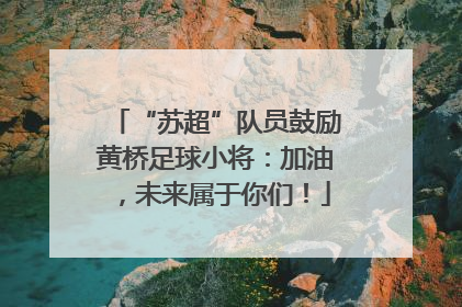 “苏超”队员鼓励黄桥足球小将：加油，未来属于你们！