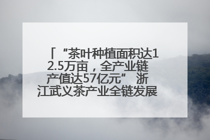 “茶叶种植面积达12.5万亩，全产业链产值达57亿元” 浙江武义茶产业全链发展“加速度”