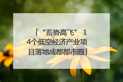“蓄势高飞” 14个低空经济产业项目落地成都都市圈