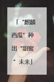 “麒麟西瓜”种出“甜蜜”未来
