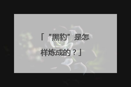 “黑豹”是怎样炼成的？