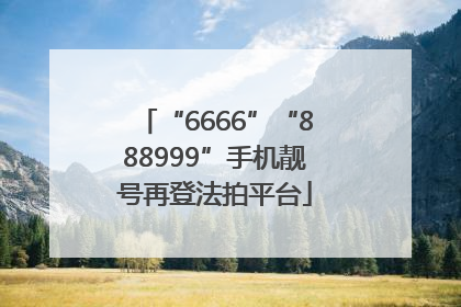 “6666”“888999”手机靓号再登法拍平台