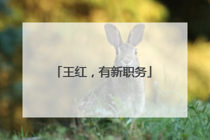 王红，有新职务