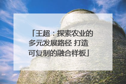 王超：探索农业的多元发展路径 打造可复制的融合样板