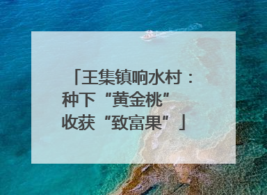 王集镇响水村：种下“黄金桃” 收获“致富果”