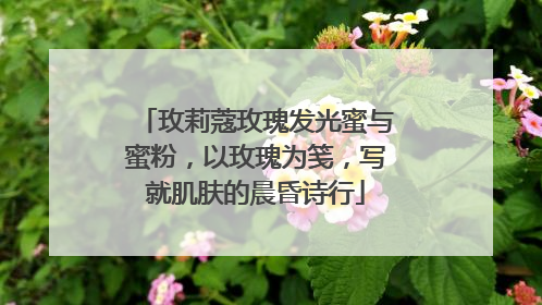 玫莉蔻玫瑰发光蜜与蜜粉，以玫瑰为笺，写就肌肤的晨昏诗行