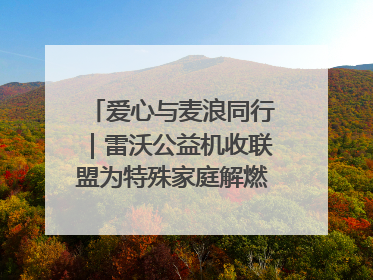 爱心与麦浪同行｜雷沃公益机收联盟为特殊家庭解燃“麦”之急