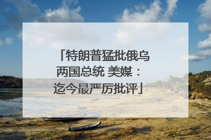 特朗普猛批俄乌两国总统 美媒：迄今最严厉批评
