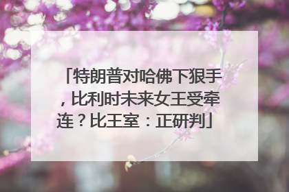 特朗普对哈佛下狠手，比利时未来女王受牵连？比王室：正研判