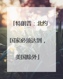 特朗普：北约国家必须达到，美国除外