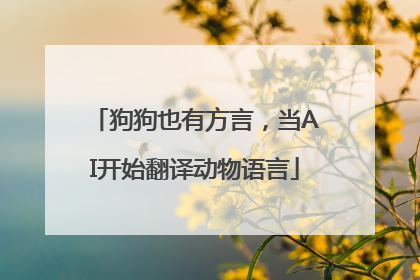 狗狗也有方言，当AI开始翻译动物语言