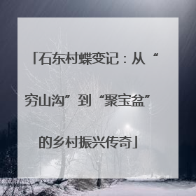 石东村蝶变记：从“穷山沟”到“聚宝盆”的乡村振兴传奇