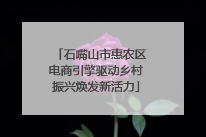 石嘴山市惠农区电商引擎驱动乡村振兴焕发新活力
