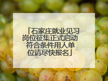石家庄就业见习岗位征集正式启动 符合条件用人单位请尽快报名