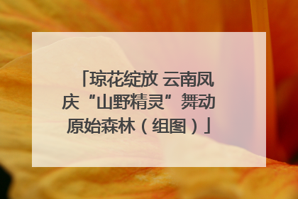 琼花绽放 云南凤庆“山野精灵”舞动原始森林（组图）