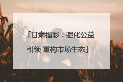 甘肃福彩：强化公益引领 重构市场生态
