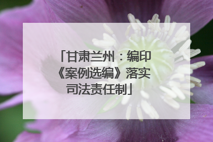 甘肃兰州：编印《案例选编》落实司法责任制