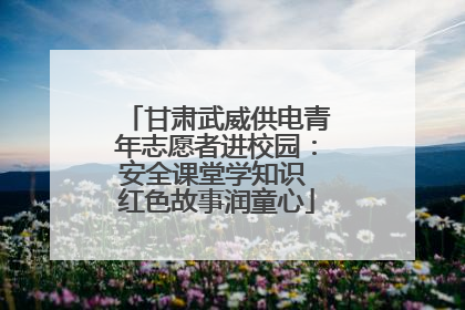 甘肃武威供电青年志愿者进校园：安全课堂学知识 红色故事润童心