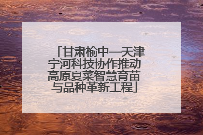 甘肃榆中—天津宁河科技协作推动高原夏菜智慧育苗与品种革新工程
