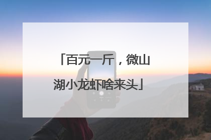 百元一斤，微山湖小龙虾啥来头