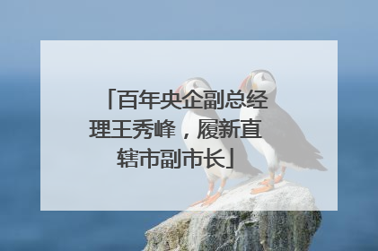 百年央企副总经理王秀峰，履新直辖市副市长