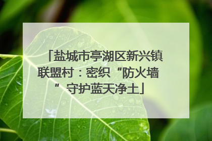 盐城市亭湖区新兴镇联盟村：密织“防火墙”守护蓝天净土