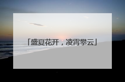 盛夏花开，凌霄攀云